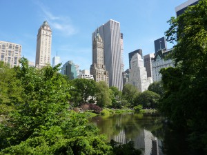 Central Park - New York